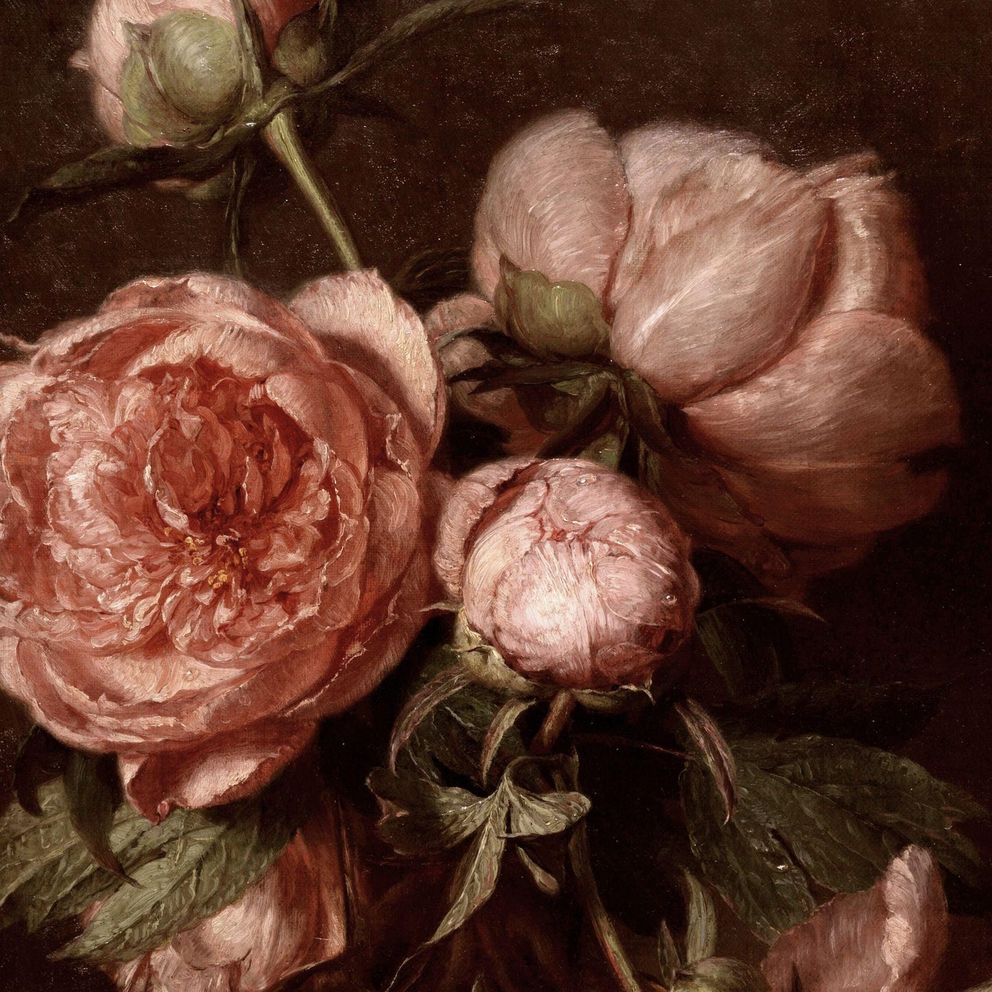 Close-up of pink roses with green leaves on a dark background