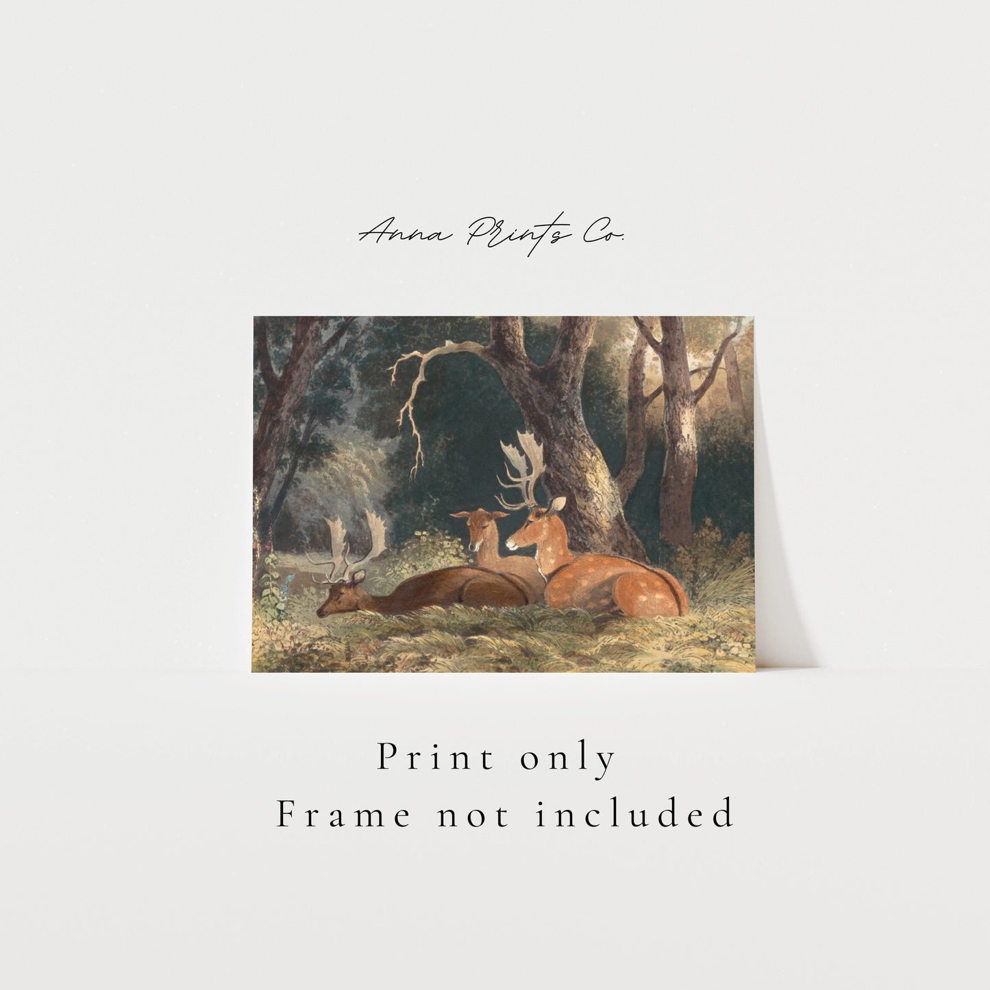 Vintage art print of Fallow Deer Cottage Animal Painting with text overlay stating frame not included